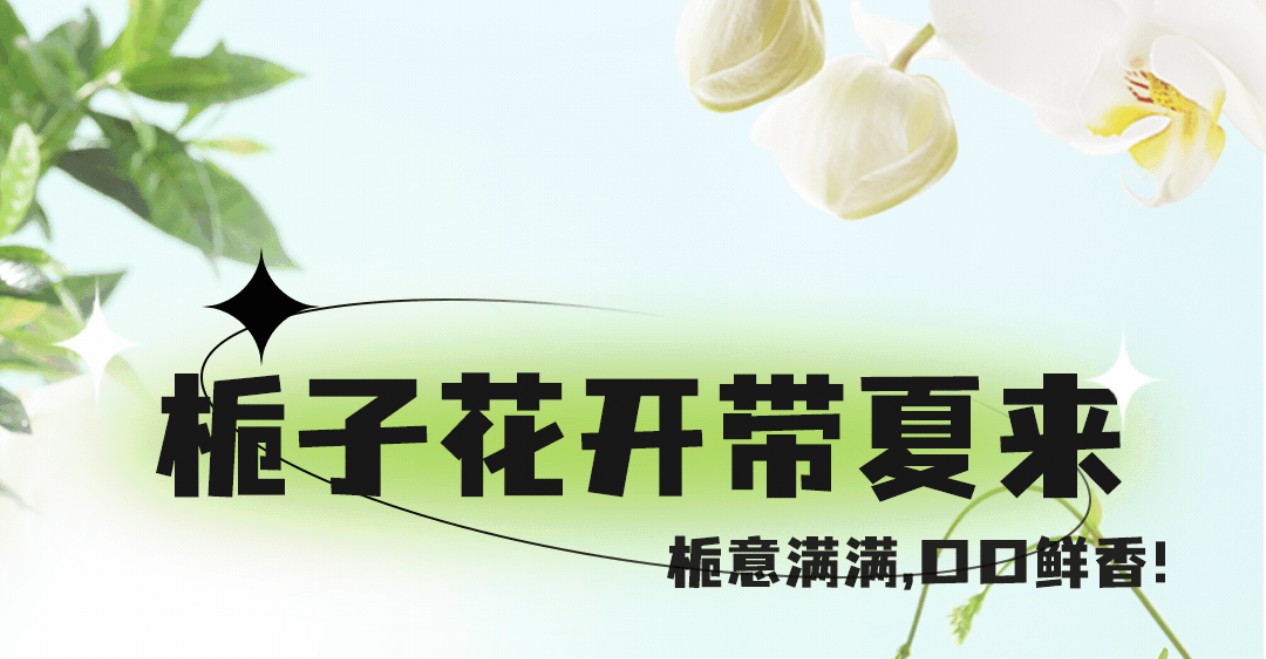 栀子花茶7月新上市，栀意满满，带你入夏！